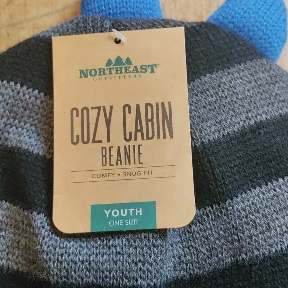 Cozy Cabin Kids Beanie Black Blue Stripe Winter Hat Dinosaur New Youth